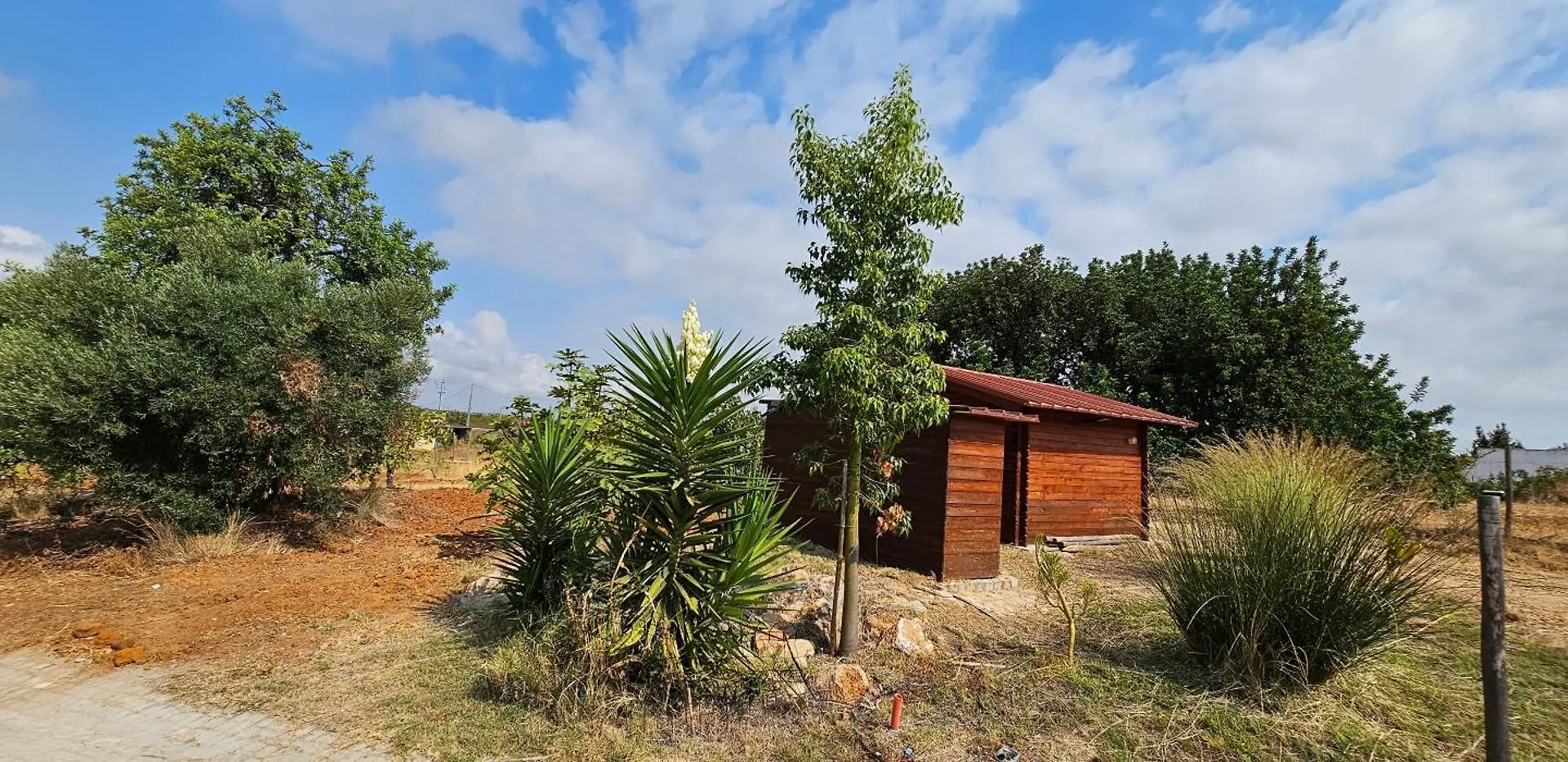 维拉诺瓦德卡塞拉Quinta Da Bornacha - Casa B E Casa C公寓 维拉诺瓦德卡塞拉