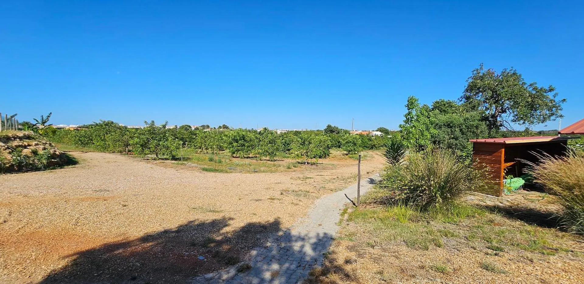公寓 维拉诺瓦德卡塞拉Quinta Da Bornacha - Casa B E Casa C公寓